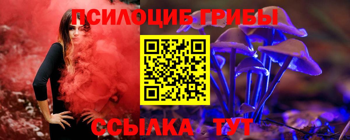 Галлюциногенные грибы мухоморы  Вход с VPN  Сальск  Галлюциногенные грибы прущие грибы 